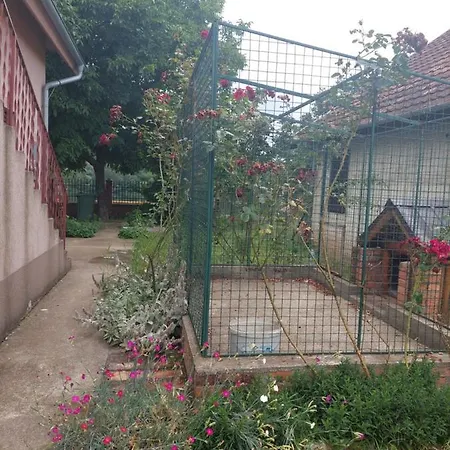 Ljubomir - Srebrno Jezero Villa